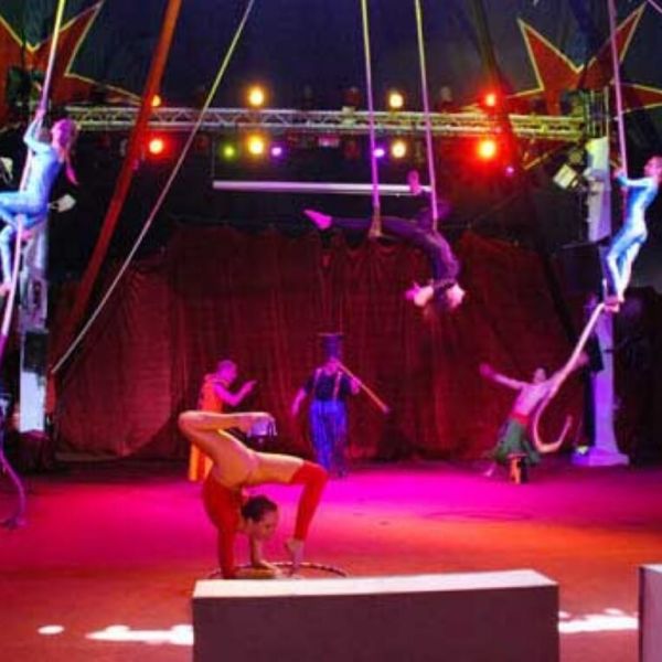 וירטואוז של מופע